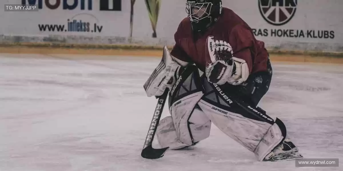 🏋️ 专业品质，助力每一次突破！💪